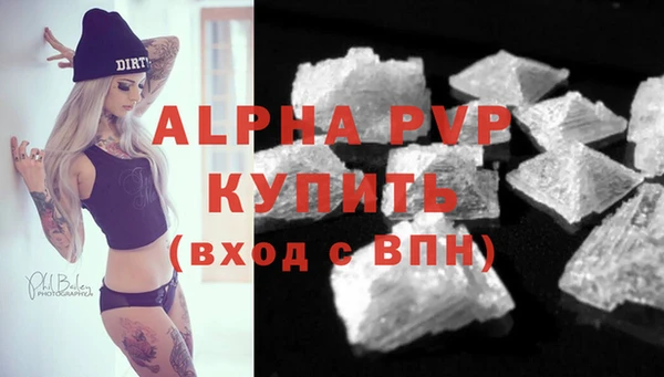шишки Белоозёрский