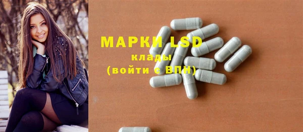 шишки Белоозёрский