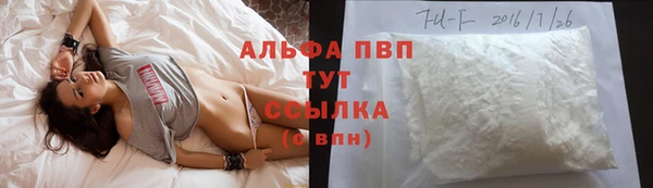 шишки Белоозёрский
