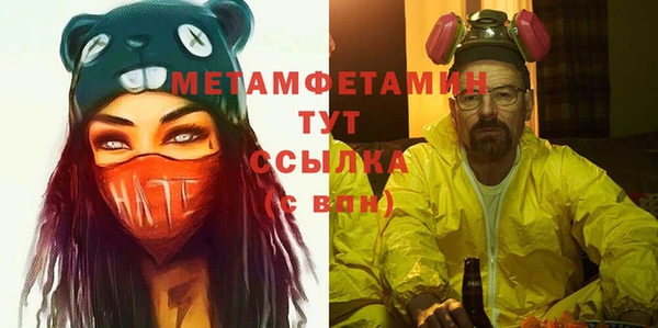 шишки Белоозёрский
